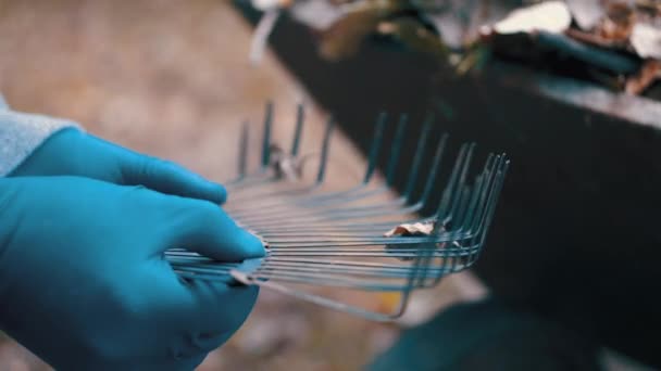 Jardin travaillé qui est un homme enlever et nettoyer les feuilles sèches du râteau — Video