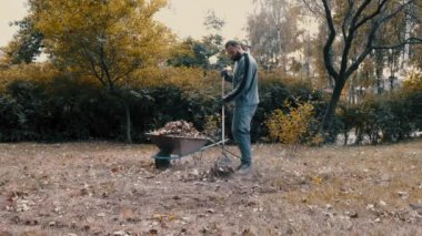 Bahçe işçisi soğuk havada bahçedeki kuru yaprakları tırmıkla temizliyor.