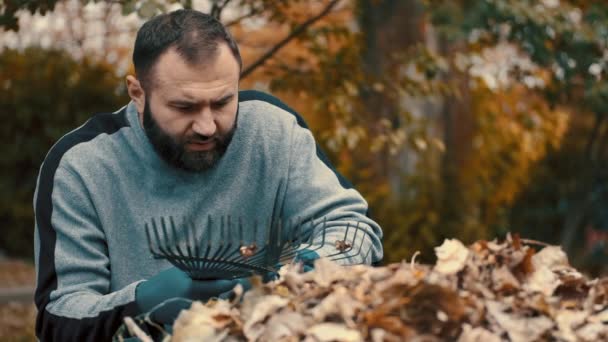 Jardin travaillé qui est un homme enlever et nettoyer les feuilles sèches du râteau — Video