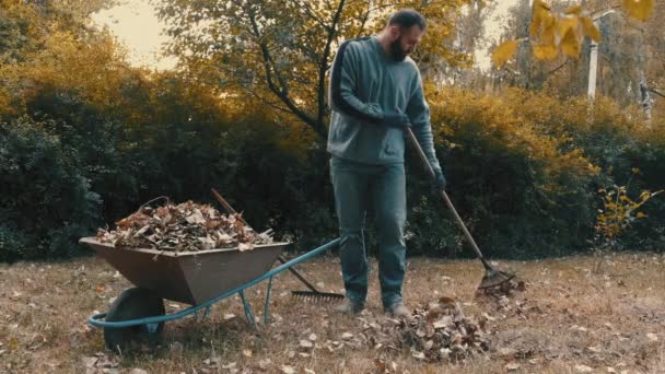 Садовник сгребает сухие листья в саду с грабли в холодную погоду — стоковое видео