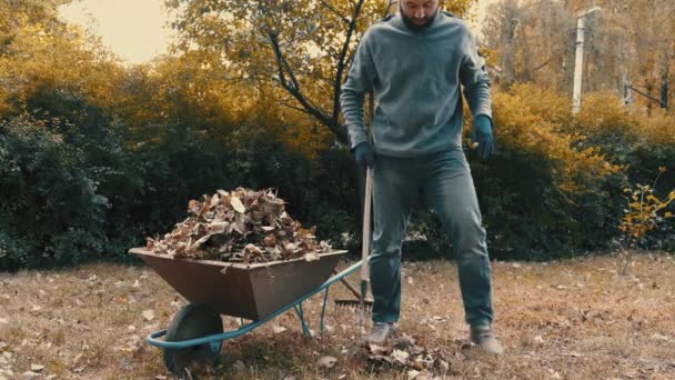 Zahradník hrabat suché listy v zahradě s hrábě v chladném počasí — Stock video