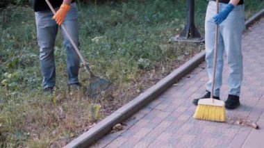 Gönüllüler yerel bir parkta süpürgeyle toprak ve kuru yaprakları süpürüyor.