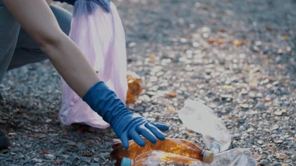 Dua relawan yang mengumpulkan sampah di taman sebagai kegiatan akhir pekan — Stok Video