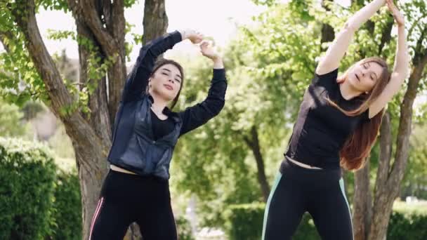 2人の美しい運動女子が屋外で体操をしている — ストック動画