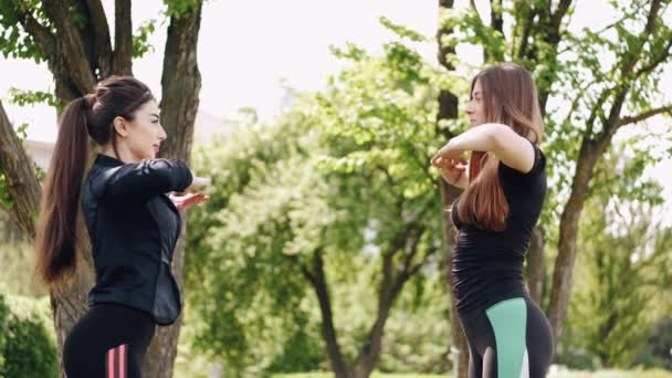 Sportliche Frauen dehnen sich vor dem Training draußen — Stockvideo