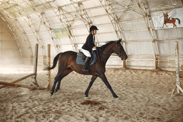 O cavaleiro em forma preta treina com o cavalo — Fotografia de Stock