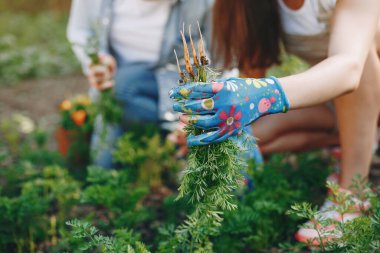 Güzel kadınlar evin yakınındaki bir bahçede çalışırlar.