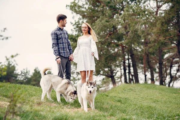 Bella coppia in una foresta estiva con un cane — Foto Stock