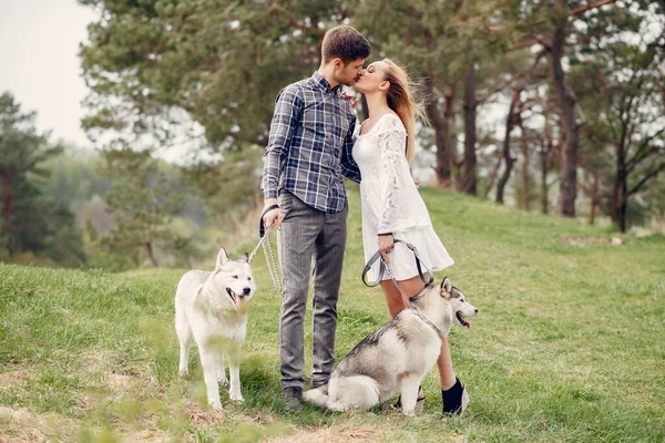 Belo casal em uma floresta de verão com cães — Fotografia de Stock