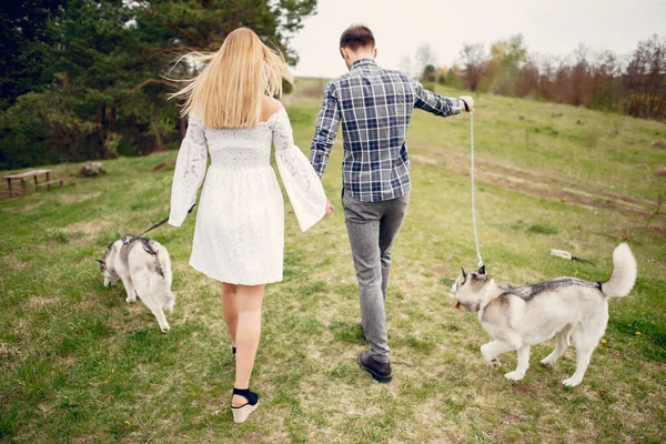 Belo casal em uma floresta de verão com cães — Fotografia de Stock