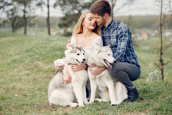Hermosa pareja en un bosque de verano con perros —  Fotos de Stock