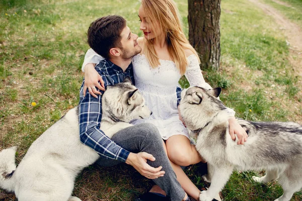 Mooi koppel in een zomer bos met een hond — Stockfoto