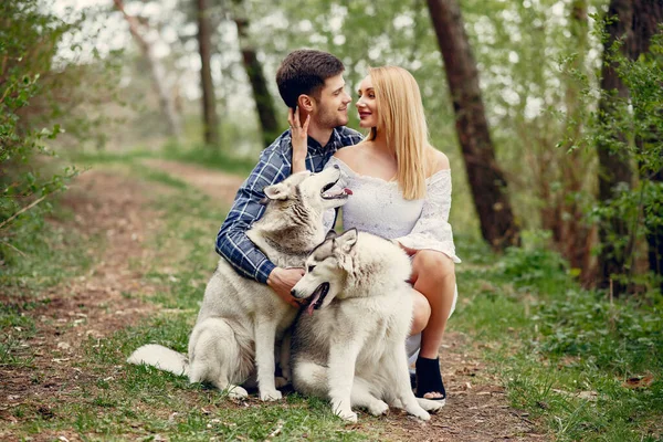 Krásný pár v letním lese se psy — Stock fotografie