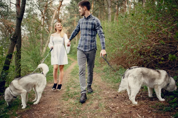 Bella coppia in una foresta estiva con un cane — Foto Stock