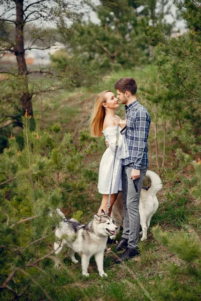 Mooi koppel in een zomer bos met een hond — Stockfoto