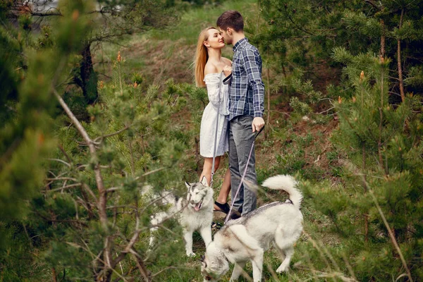 Mooi koppel in een zomer bos met een hond — Stockfoto