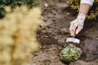 Güzel bir kadın evin yakınındaki bir bahçede çalışıyor.