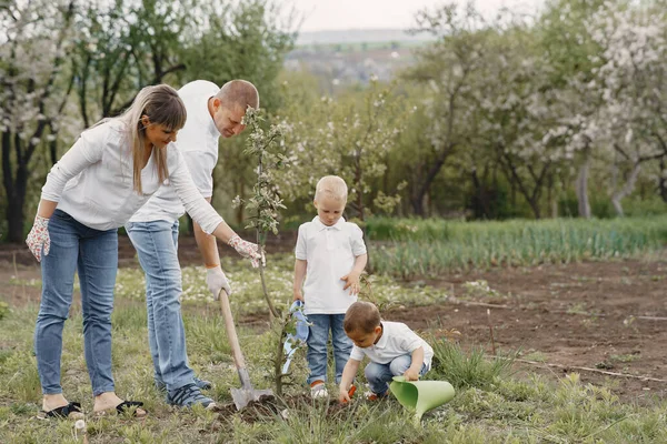 有小儿子的家庭正在院子里种树 — 图库照片