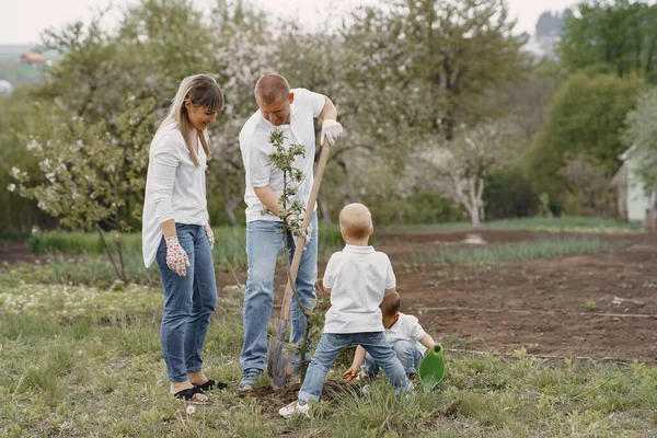 Keluarga dengan anak-anak kecil menanam pohon di halaman — Stok Foto