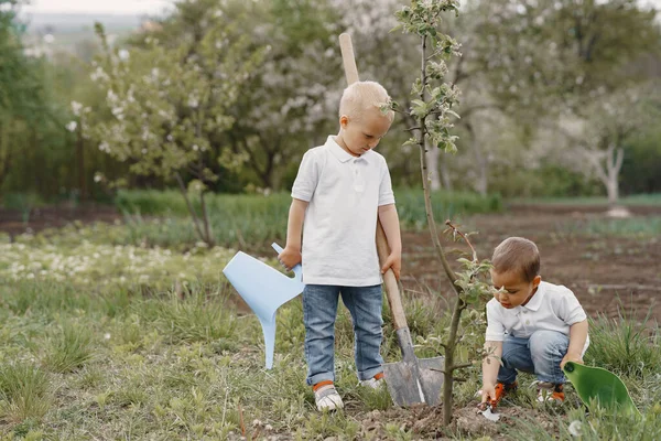 Anak laki-laki kecil yang lucu menanam pohon di taman — Stok Foto