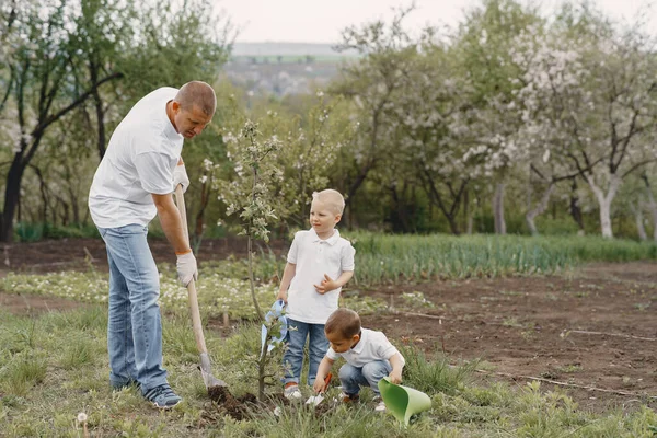 Keluarga dengan anak-anak kecil menanam pohon di halaman — Stok Foto