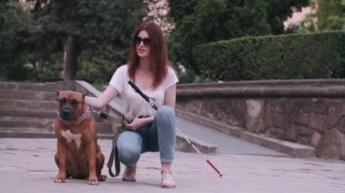 Kılavuz köpek parkta kör bir kadına yardım ediyor.