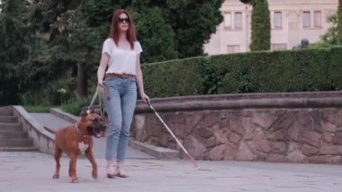 Kılavuz köpek parkta kör bir kadına yardım ediyor.