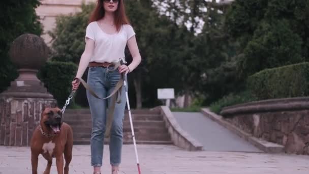 导盲犬在公园帮助失明妇女 — 图库视频影像