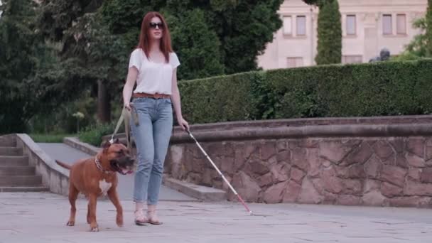 Guide dog helping blind woman in park — Stock Video