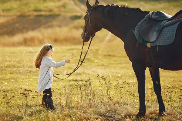 Menina bonito em um campo de outono com cavalo — Fotografia de Stock