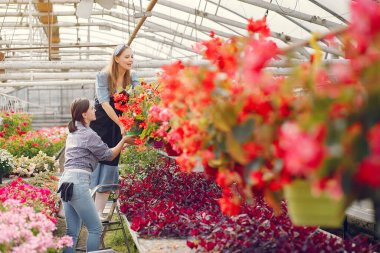 Çiçek saksılarıyla bir serada çalışan kadınlar
