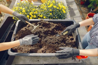 Çiçek saksılarıyla bir serada çalışan kadınlar