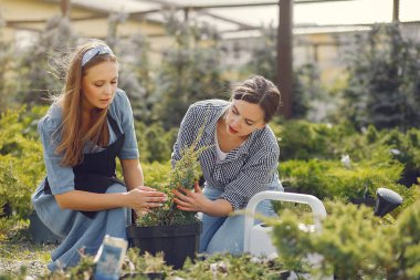 Çiçek saksılarıyla bir serada çalışan kadınlar