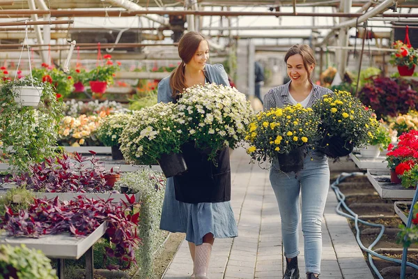 Women working in a greenhouse with a flowerpoots