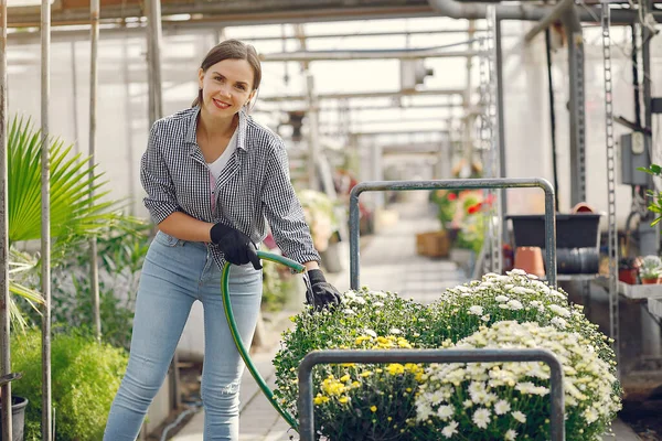 Wanita dalam kemeja biru menuangkan pot bunga — Stok Foto