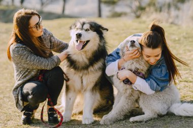 Bir bahar tarlasında köpekli iki şık kız.