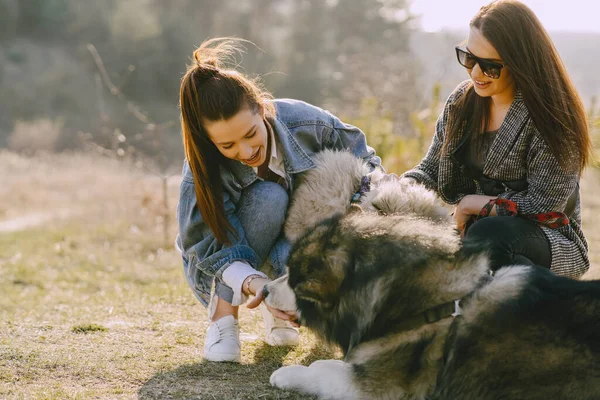Dos chicas con estilo en un campo de primavera con un perro — Foto de Stock