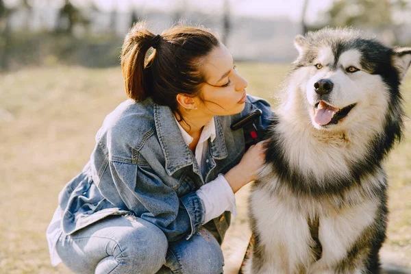 Köpeğiyle bahar tarlasında şık bir kız. — Stok fotoğraf