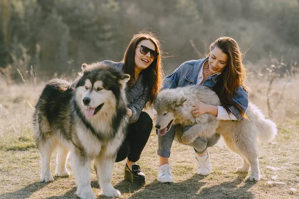 สาวสองคนมีสไตล์ในสนามฤดูใบไม้ผลิกับสุนัข — ภาพถ่ายสต็อก