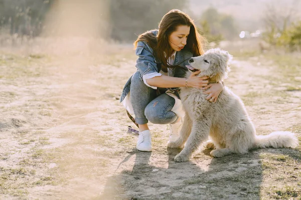 Menina elegante em um campo de primavera com um cão — Fotografia de Stock