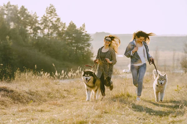 Due ragazze alla moda in un campo di primavera con un cane — Foto Stock