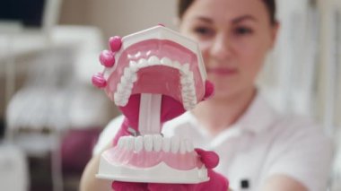 Bir dişçi seramik bir diş modeli tutuyor ve onu alkışlıyor.