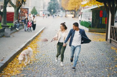 Çiftler güneşli bir sonbahar gününde köpeklerini gezdirirler.