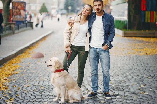 Çiftler güneşli bir sonbahar gününde köpeklerini gezdirirler.