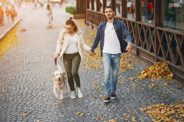 Çiftler güneşli bir sonbahar gününde köpeklerini gezdirirler.