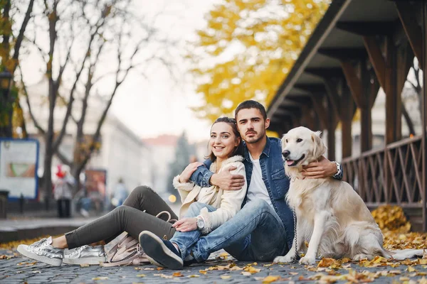 Çiftler güneşli bir sonbahar gününde köpeklerini gezdirirler.