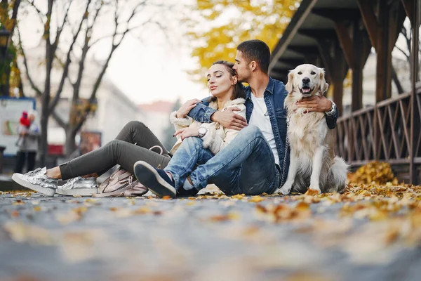 Çiftler güneşli bir sonbahar gününde köpeklerini gezdirirler.