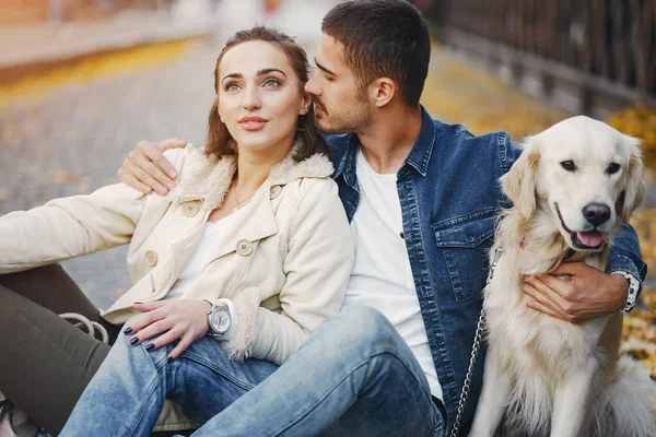 Çiftler güneşli bir sonbahar gününde köpeklerini gezdirirler.