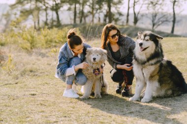 Bir bahar tarlasında köpekli iki şık kız.