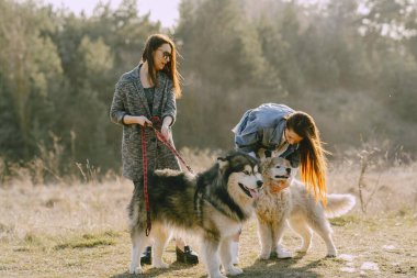 Bir bahar tarlasında köpekli iki şık kız.